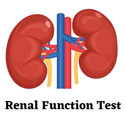 organ function test | telepatho.in